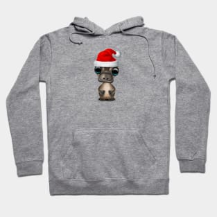 Christmas Platypus Wearing a Santa Hat Hoodie